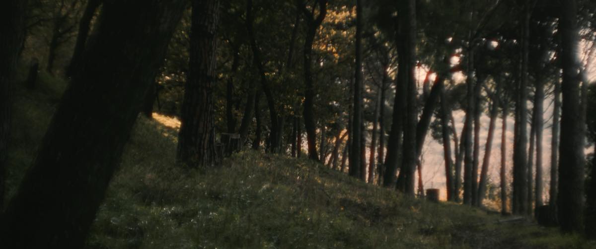 Frame 2